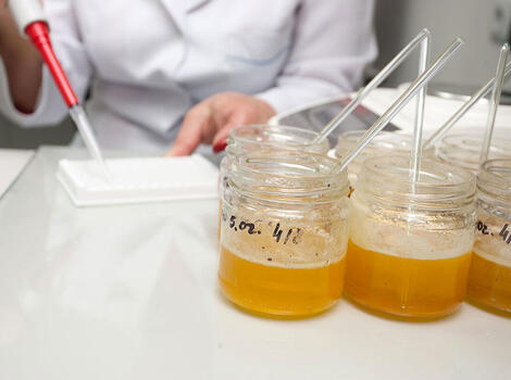 Every honey has its own "fingerprint"